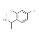 N-[1-(2,4-dichlorophenyl)ethyl]-N-methylamine - chemical structure image