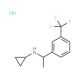 N-{1-[3-(trifluoromethyl)phenyl]ethyl}cyclopropanamine hydrochloride - chemical structure image
