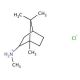 N,1,7,7-Tetramethylbicyclo[2.2.1]heptan-2-amine Hydrochloride - chemical structure image