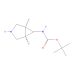 N-(1α,5α,6α)-3-Αzabicyclo[3.1.0]hex-6-yl-carbamic Acid 1,1-Dimethylethyl Ester (CAS 134575-17-0) - chemical structure image