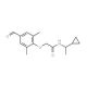 N-(1-cyclopropylethyl)-2-(4-formyl-2,6-dimethylphenoxy)acetamide - chemical structure image