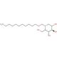 N-(12-Aminododecyl)-deoxynojirimycin (CAS 885484-41-3) - chemical structure image