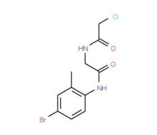 N-{2-[(4-bromo-2-methylphenyl)amino]-2-oxoethyl}-2-chloroacetamide - chemical structure image