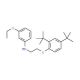 N-{2-[2,4-Di(tert-butyl)phenoxy]ethyl}-3-ethoxyaniline - chemical structure image