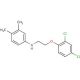 N-[2-(2,4-Dichlorophenoxy)ethyl]-3,4-dimethylaniline - chemical structure image