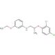 N-[2-(2,4-Dichlorophenoxy)propyl]-3-ethoxyaniline (CAS 1040685-09-3) - chemical structure image