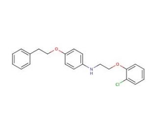 N-[2-(2-Chlorophenoxy)ethyl]-4-(phenethyloxy)-aniline - chemical structure image