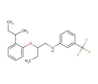 N-{2-[2-(sec-Butyl)phenoxy]butyl}-3-(trifluoromethyl)aniline - chemical structure image