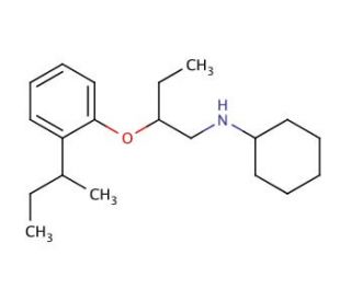 N-{2-[2-(sec-Butyl)phenoxy]butyl}cyclohexanamine (CAS 1040681-02-4) - chemical structure image