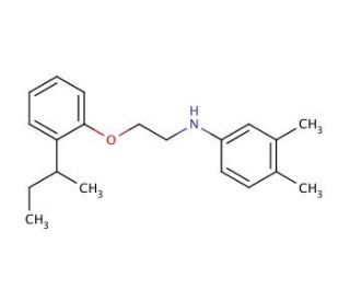 N-{2-[2-(sec-Butyl)phenoxy]ethyl}-3,4-dimethylaniline - chemical structure image