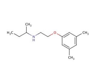 N-[2-(3,5-Dimethylphenoxy)ethyl]-2-butanamine - chemical structure image
