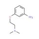 N-[2-(3-aminophenoxy)ethyl]-N,N-dimethylamine - chemical structure image