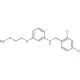 N-(2,4-Dichlorobenzyl)-3-(2-methoxyethoxy)aniline - chemical structure image