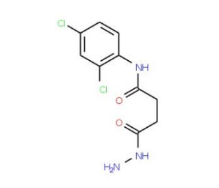 N-(2,4-Dichlorophenyl)-4-hydrazino-4-oxobutanamide - chemical structure image