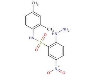 N-(2,4-Dimethyl-phenyl)-2-hydrazino-5-nitro-benzenesulfonamide - chemical structure image