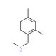 N-(2,4-dimethylbenzyl)-N-methylamine (CAS 766502-85-6) - chemical structure image