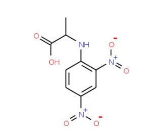 N-(2,4-Dinitrophenyl)-L-alanine (CAS 1655-52-3) - chemical structure image