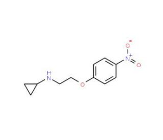N-(2-(4-Nitrophenoxy)ethyl)cyclopropanamine (CAS 1033201-53-4) - chemical structure image
