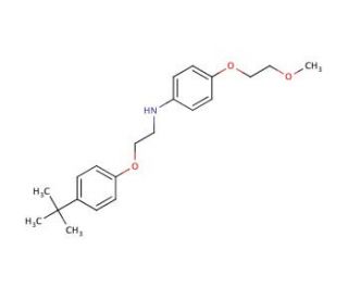 N-{2-[4-(tert-Butyl)phenoxy]ethyl}-4-(2-methoxyethoxy)aniline - chemical structure image