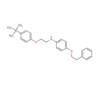 N-{2-[4-(tert-Butyl)phenoxy]ethyl}-4-(phenethyloxy)aniline - chemical structure image