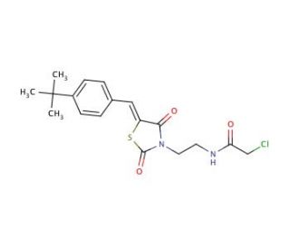 N-{2-[5-(4-tert-Butyl-benzylidene)-2,4-dioxo-thiazolidin-3-yl]-ethyl}-2-chloro-acetamide - chemical structure image