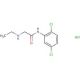 N-(2,5-dichlorophenyl)-2-(ethylamino)acetamide hydrochloride - chemical structure image