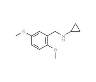 N-(2,5-dimethoxybenzyl)cyclopropanamine (CAS 877996-08-2) - chemical structure image