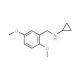 N-(2,5-dimethoxybenzyl)cyclopropanamine (CAS 877996-08-2) - chemical structure image