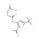 N-(2-Acetyl-5-tert-butyl-thiophen-3-yl)-succinamic acid - chemical structure image