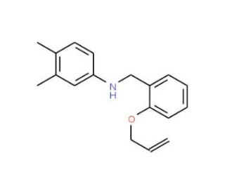 N-[2-(allyloxy)benzyl]-N-(3,4-dimethylphenyl)amine - chemical structure image