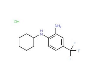N-[2-amino-4-(trifluoromethyl)phenyl]-N-cyclohexylamine hydrochloride (CAS 1049778-21-3) - chemical structure image