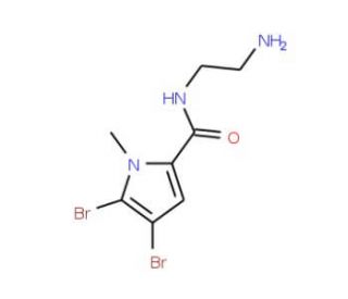N-(2-aminoethyl)-4,5-dibromo-1-methyl-1H-pyrrole-2-carboxamide - chemical structure image