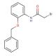 N-[2-(Benzyloxy)phenyl]-2-bromoacetamide (CAS 947240-53-1) - chemical structure image