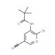 N-(2-Bromo-5-cyanopyridin-3-yl)pivalamide (CAS 1171920-02-7) - chemical structure image
