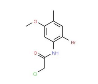 N-(2-Bromo-5-methoxy-4-methylphenyl)-2-chloroacetamide - chemical structure image