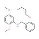 N-(2-Butoxybenzyl)-2,5-dimethoxyaniline - chemical structure image