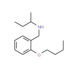 N-(2-Butoxybenzyl)-2-butanamine - chemical structure image
