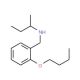 N-(2-Butoxybenzyl)-2-butanamine - chemical structure image