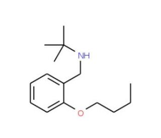N-(2-Butoxybenzyl)-2-methyl-2-propanamine - chemical structure image