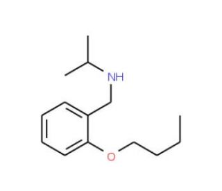 N-(2-Butoxybenzyl)-2-propanamine - chemical structure image