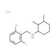 N-(2-chloro-6-fluorobenzyl)-N-(2,3-dimethylcyclohexyl)amine hydrochloride - chemical structure image