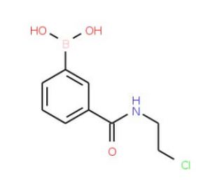N-(2-Chloroethyl) 3-boronobenzamide (CAS 874288-12-7) - chemical structure image