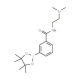 N-(2-Dimethylaminoethyl)-3-(4,4,5,5-tetramethyl-1,3,2-dioxaborolan-2-yl)benzamide (CAS 840521-76-8) - chemical structure imag