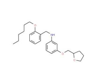 N-[2-(Hexyloxy)benzyl]-3-(tetrahydro-2-furanylmethoxy)aniline - chemical structure image