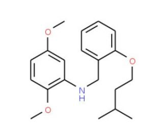 N-[2-(Isopentyloxy)benzyl]-2,5-dimethoxyaniline - chemical structure image