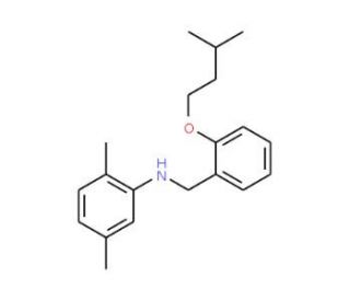 N-[2-(Isopentyloxy)benzyl]-2,5-dimethylaniline - chemical structure image