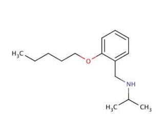 N-[2-(Pentyloxy)benzyl]-2-propanamine - chemical structure image