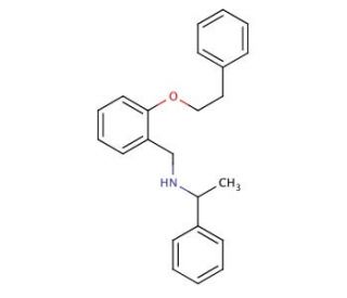 N-[2-(Phenethyloxy)benzyl]-1-phenyl-1-ethanamine - chemical structure image