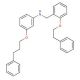 N-[2-(Phenethyloxy)benzyl]-3-(3-phenylpropoxy)aniline - chemical structure image