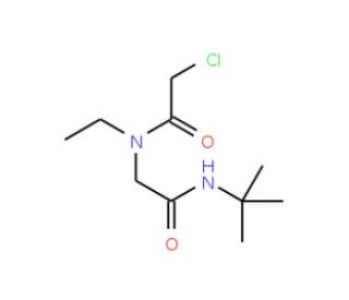 N-[2-(tert-butylamino)-2-oxoethyl]-2-chloro-N-ethylacetamide - chemical structure image